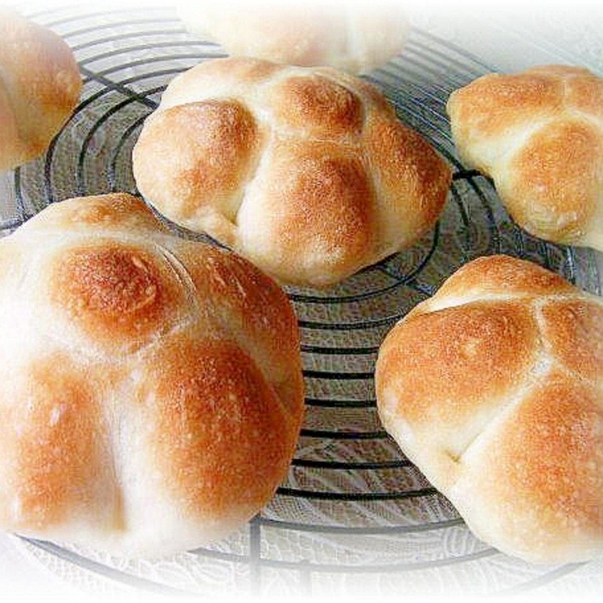 ロゼッタ形ハードパン Hb レシピ 作り方 By Tara Minfannote 楽天レシピ